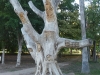 p1120016