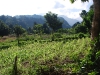 paso-ancho1
