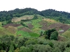paso-ancho3