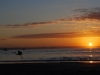 A blue heron taking flight at sunrise