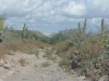 p1110773
