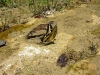 semuc19