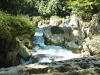 semuc8