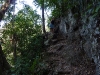 semuc9