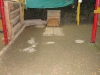 tejo03