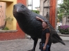tequila29