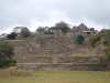 tonina3