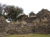 tonina8