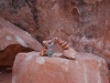 Little manmade arch and Bunny