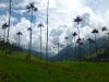valledecocora27