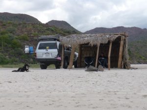 Our palapa and a 4 legged visitor, always reminding us that Tie is not with us :( Our palapa and a 4 legged visitor, always reminding us that Tie is not with us :(