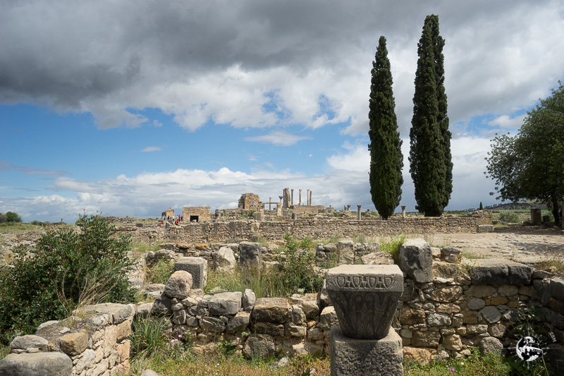 The ruins of Volubilis were the capital of the Roman outpost in Africa.