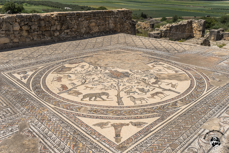 One of the amazingly well preserved mosaics at the ruins.